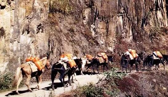 茶馬古道(dào):普洱茶文(wén)化(huà)之魂(圖1) 茶馬古道(dào):普洱茶文(wén)化(huà)之魂(圖1)