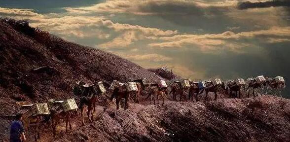 點擊打開(kāi)原圖 茶馬古道(dào):普洱茶文(wén)化(huà)之魂(圖4)